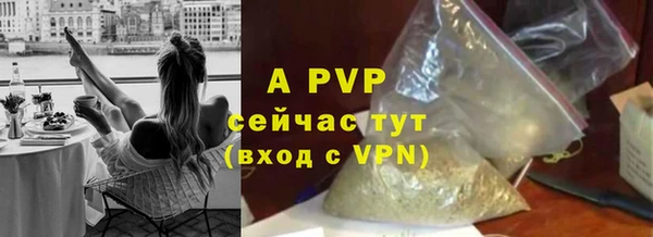 амф Алексин