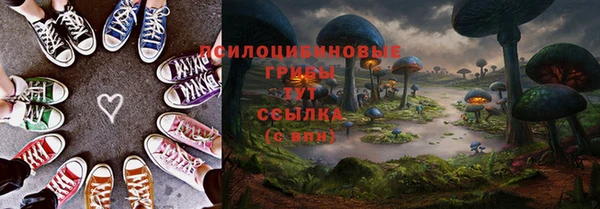 ECSTASY Алексеевка