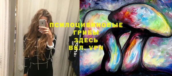 ECSTASY Алексеевка