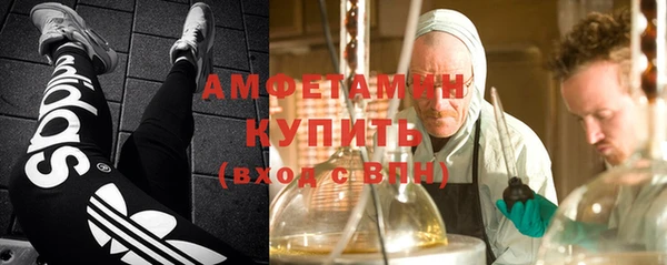 амф Алексин