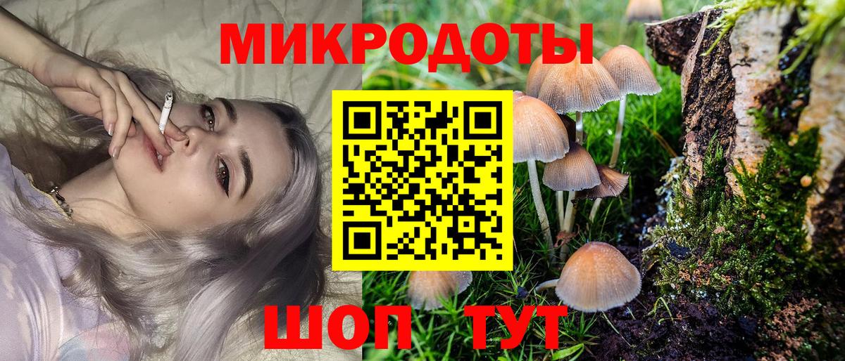 Борзя  Псилоцибиновые грибы мицелий  Вход с VPN 