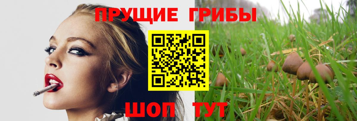 Галлюциногенные грибы мицелий Борзя