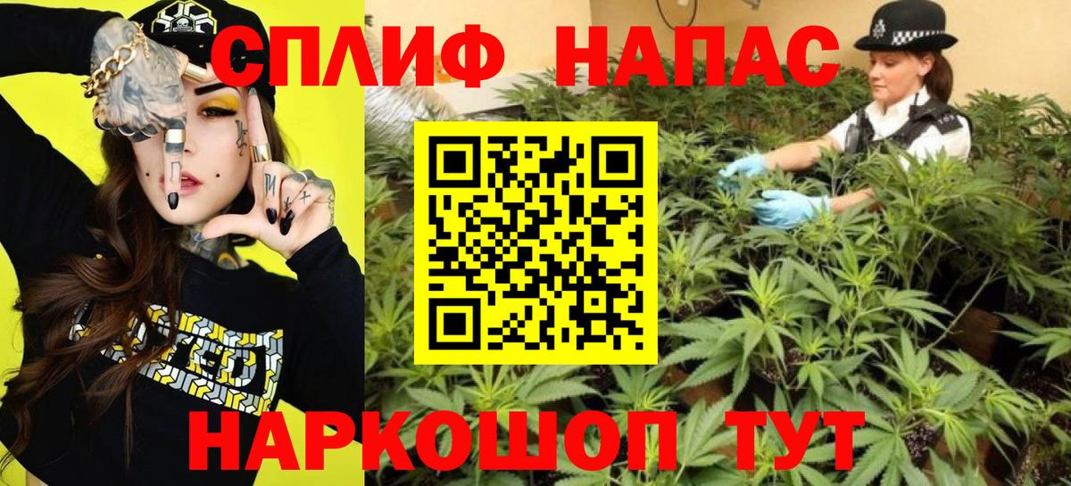 Каннабис MAZAR  Шишки марихуана марихуана  Борзя  Вход с VPN  Каннабис планчик 
